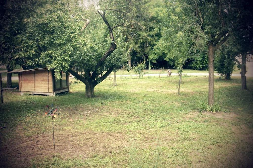 Ferienwohnung Im Gruenen Gottenheim Bagian luar foto