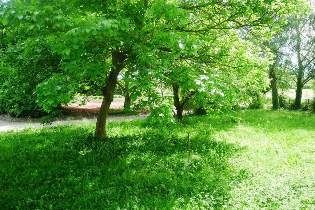 Ferienwohnung Im Gruenen Gottenheim Bagian luar foto