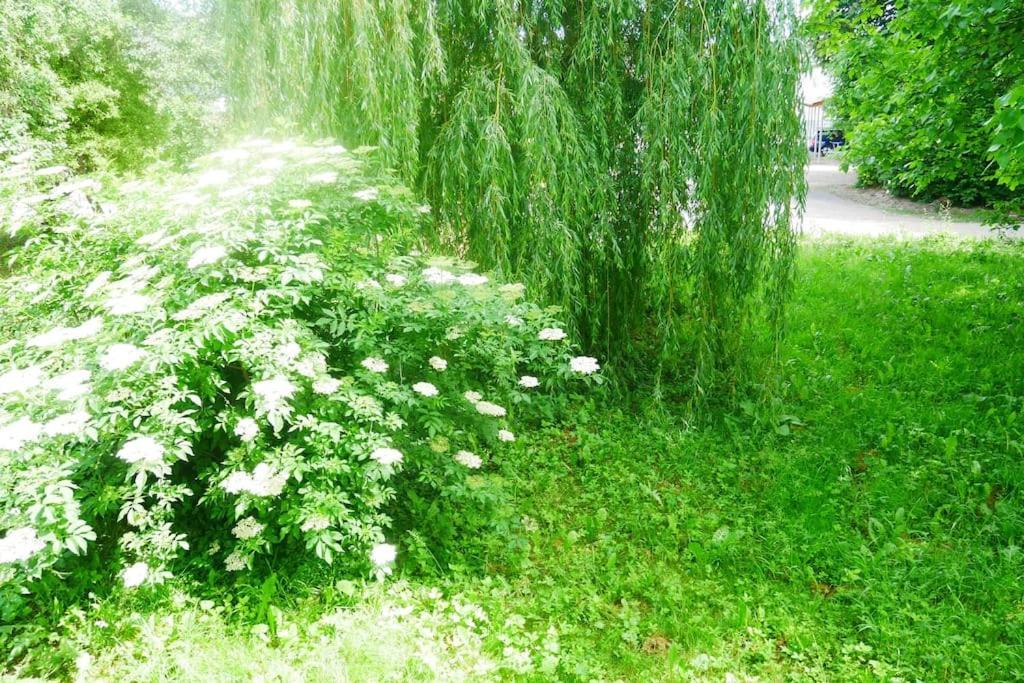 Ferienwohnung Im Gruenen Gottenheim Bagian luar foto
