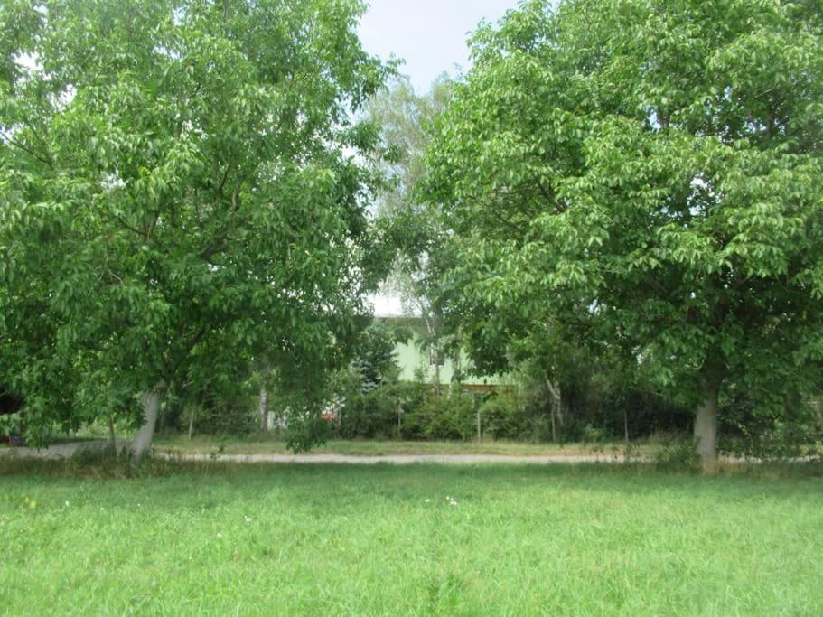 Ferienwohnung Im Gruenen Gottenheim Bagian luar foto